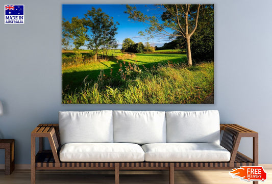 Trees on Grass Field Sunset Photograph Print 100% Australian Made
