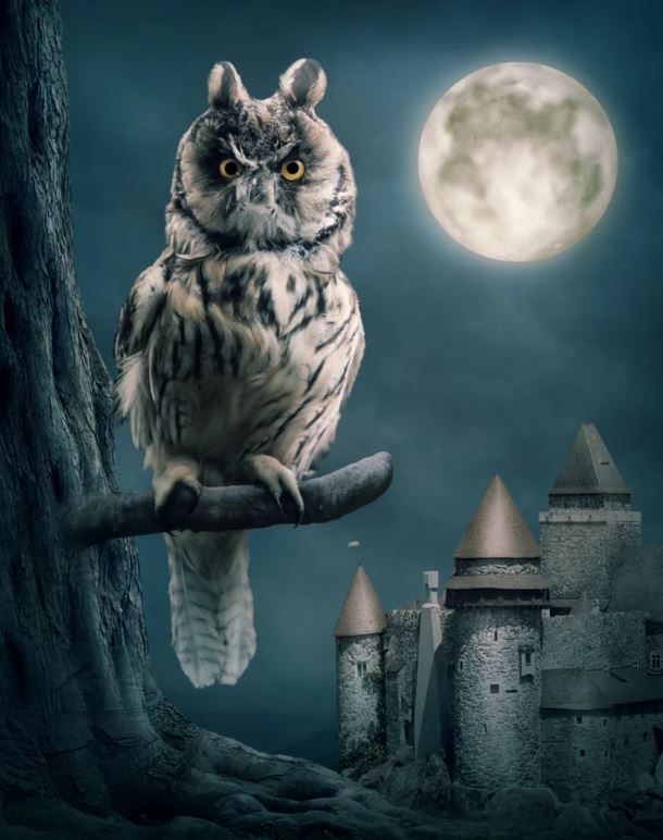 Owl on a Tree & Castle Scenery Oil Painting Home Decor Premium Quality Poster Print Choose Your Sizes