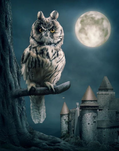 Owl on a Tree & Castle Scenery Oil Painting Home Decor Premium Quality Poster Print Choose Your Sizes