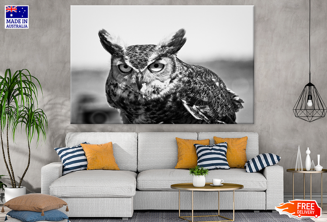 B&W Owl Portrait Photograph Print 100% Australian Made