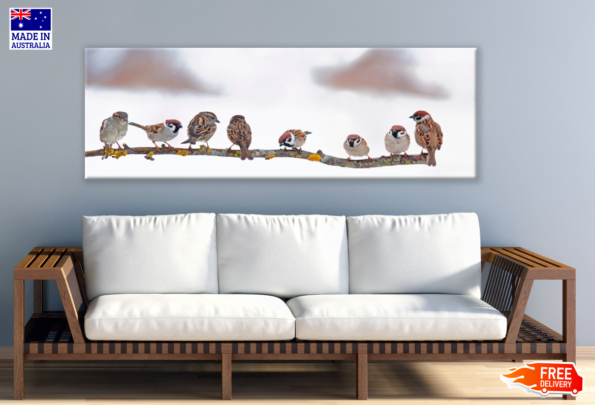 Panoramic Canvas House Sparrow Birds Sitting on a Branch High Quality 100% Australian made wall Canvas Print ready to hang