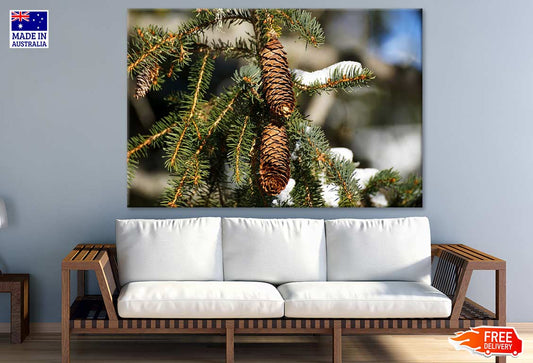 Snow Covered Pine Tree Branch Closeup Photograph Print 100% Australian Made