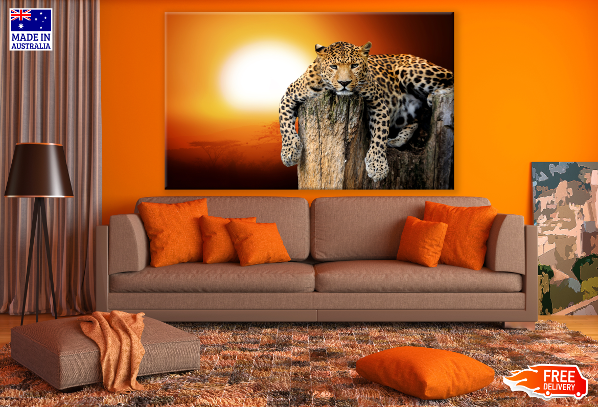 Leopard On a Tree Trunk Sunset Print 100% Australian Made