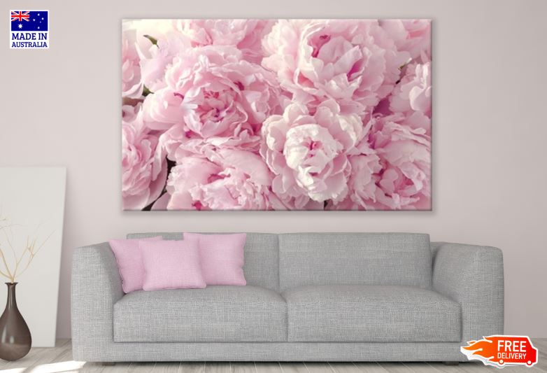 Rose Flower Closeup Print 100% Australian Made