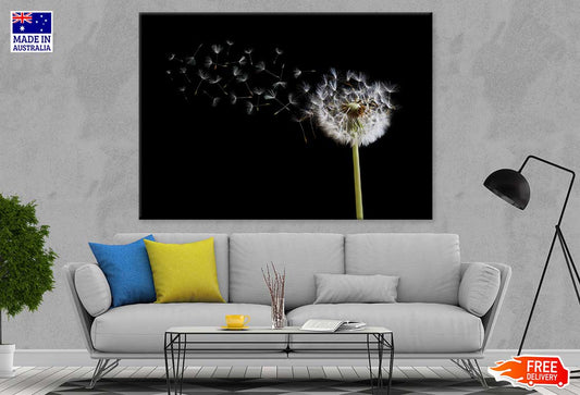 Dandelion Seeds Over Dark View Photograph Print 100% Australian Made