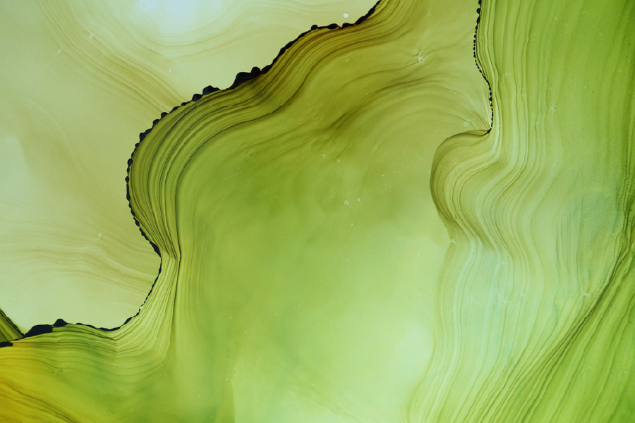 Green & White Abstract Design Print 100% Australian Made