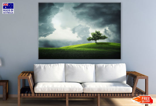 A Tree Covered with Clouds Photograph Print 100% Australian Made