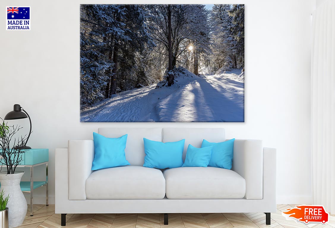 Snow Covered Forest Photograph Print 100% Australian Made