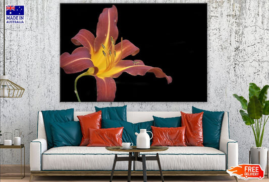 Red Hemerocalle Flower Closeup Photograph Print 100% Australian Made