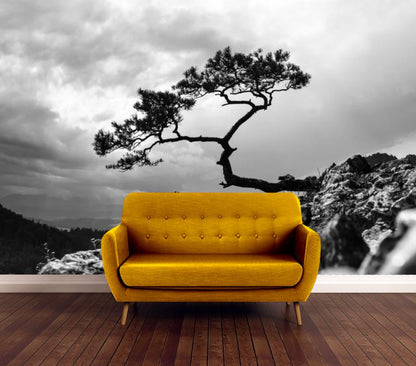 Wallpaper Murals Peel and Stick Removable B&W Tree on a Mountain High Quality