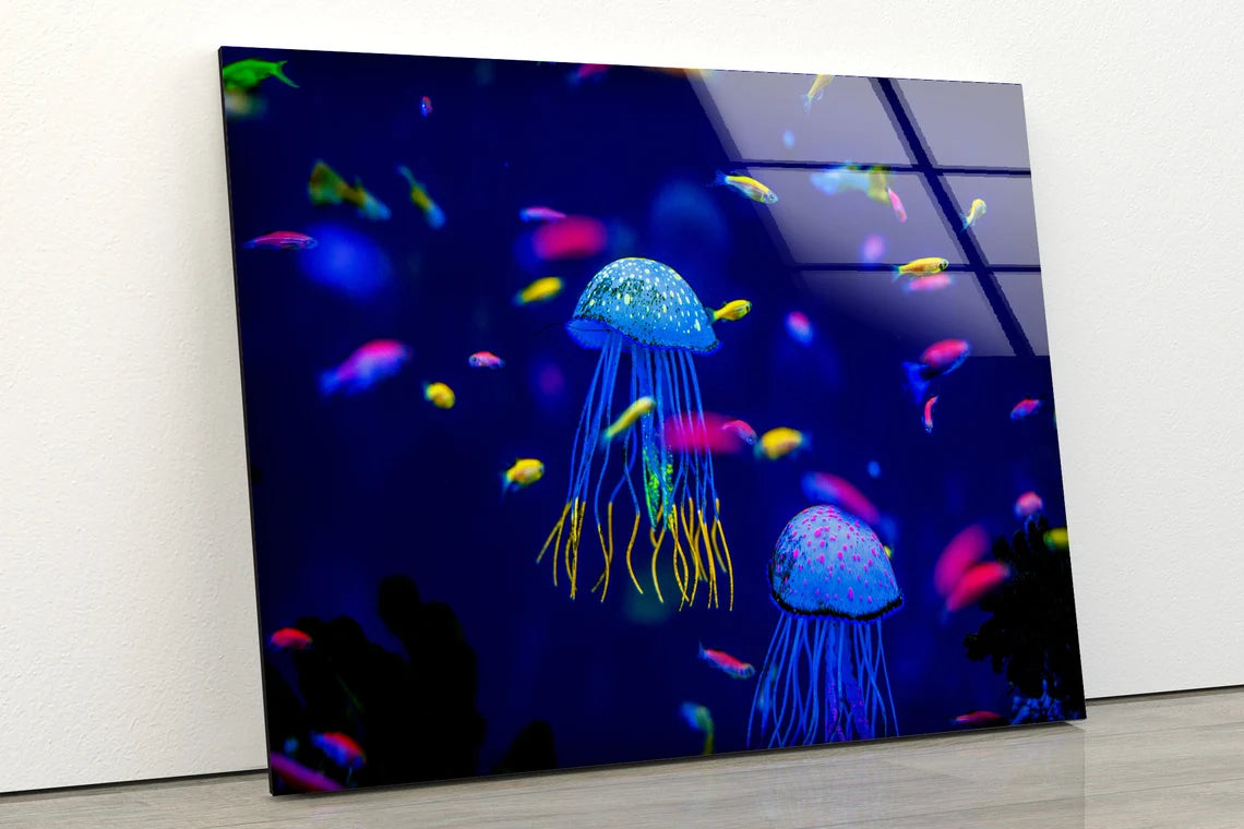 Jelly Fish in Sea Photograph Acrylic Glass Print Tempered Glass Wall Art 100% Made in Australia Ready to Hang