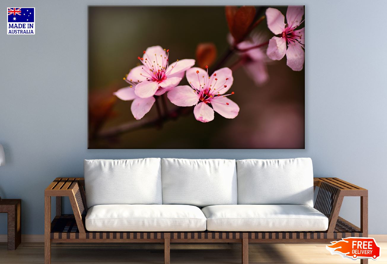 Japanese Cherry Blossom Closeup Photograph Print 100% Australian Made