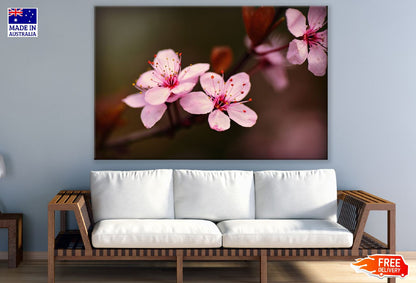 Japanese Cherry Blossom Closeup Photograph Print 100% Australian Made