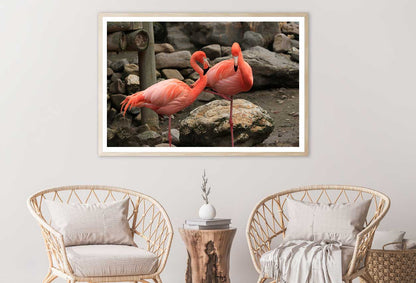 Flamingo Birds View Photograph Home Decor Premium Quality Poster Print Choose Your Sizes