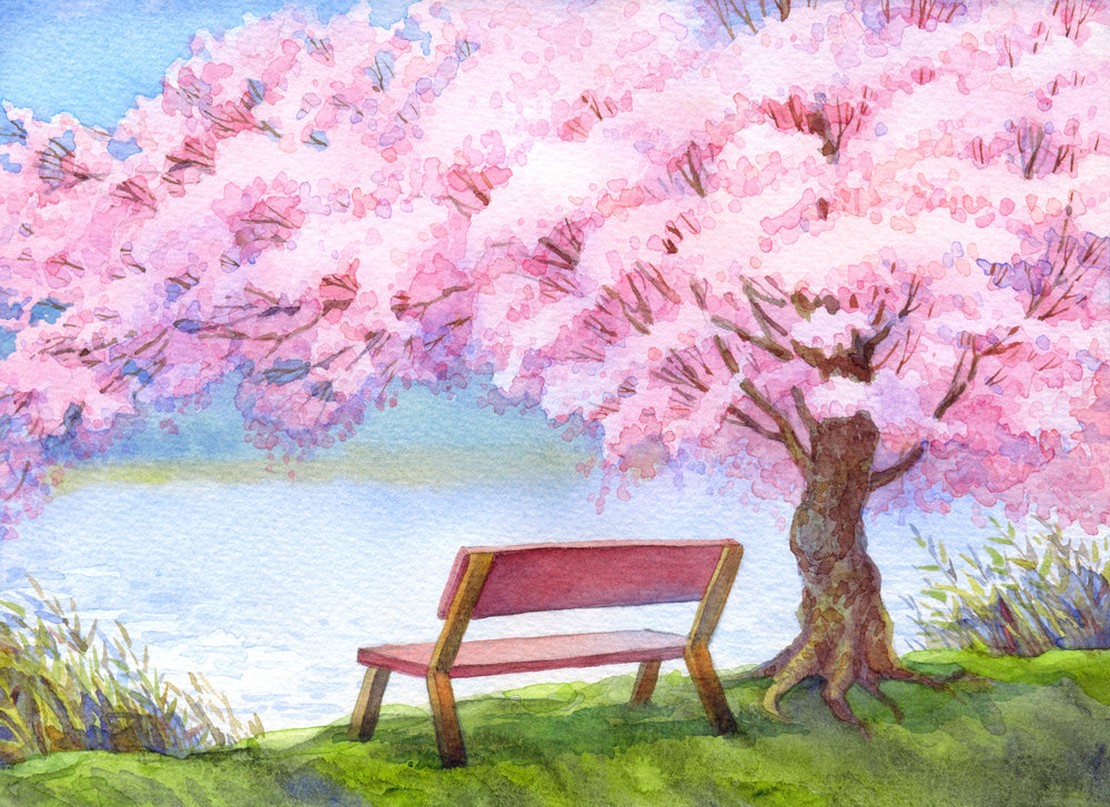 Wallpaper Murals Peel and Stick Removable Wooden Bench on the Riverbank Under Beautiful Flowering Pink Peach Tree Watercolor Painting High Quality