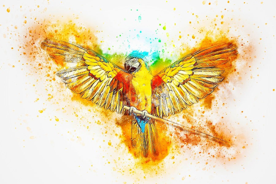 Yellow Red & Blue Parrot Abstract Design Print 100% Australian Made