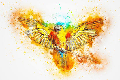 Yellow Red & Blue Parrot Abstract Design Print 100% Australian Made