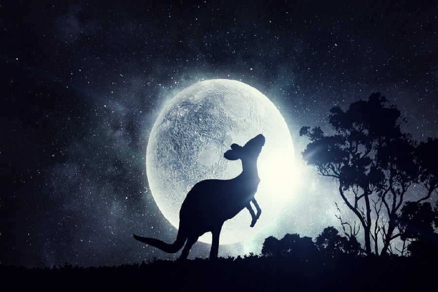 Full Moon Sky & Kangaroo View Photograph Print 100% Australian Made