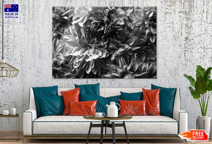 Flower Petals B&W Closeup View Photograph Print 100% Australian Made