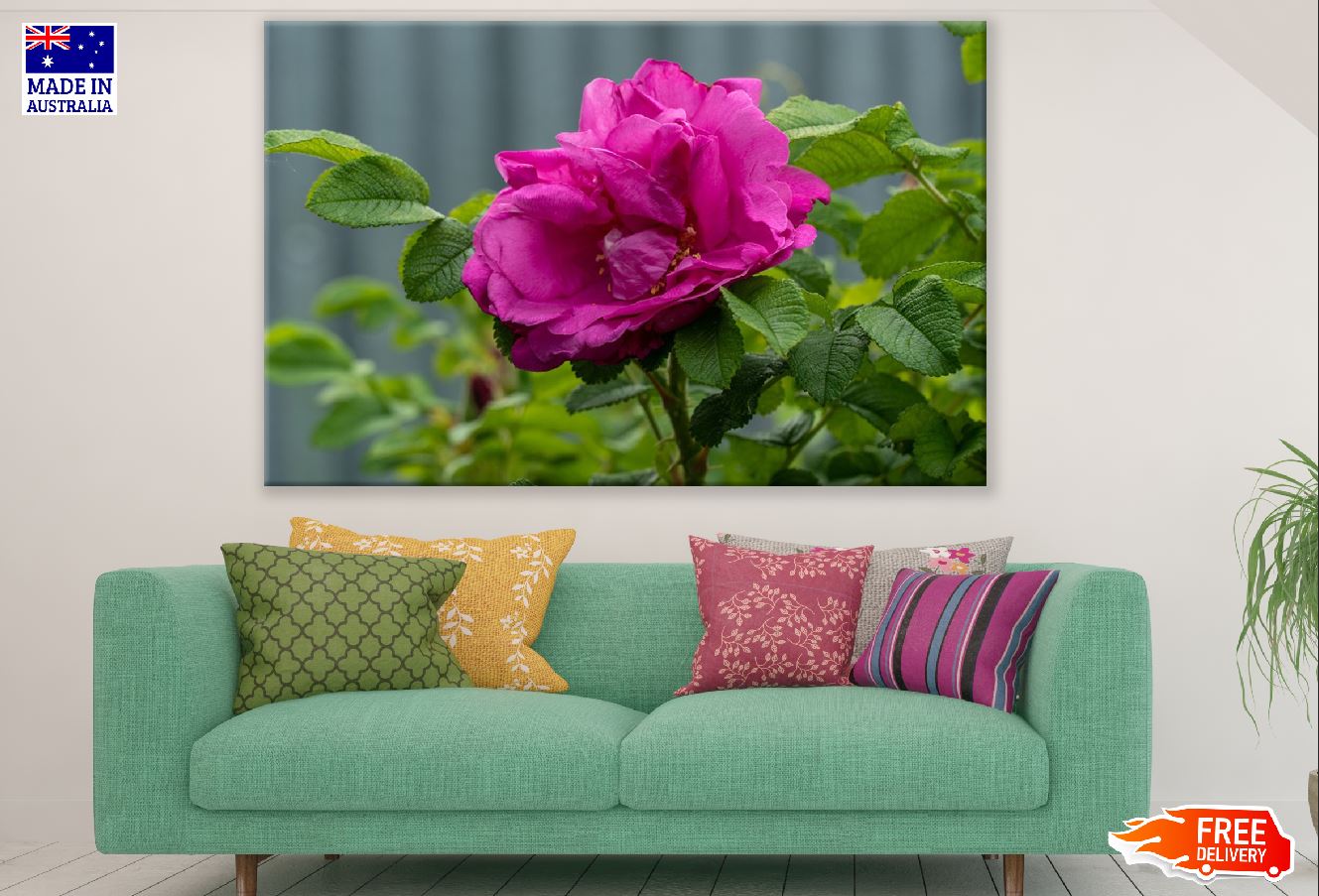 Rose Flower with Leaves Closeup Photograph Print 100% Australian Made