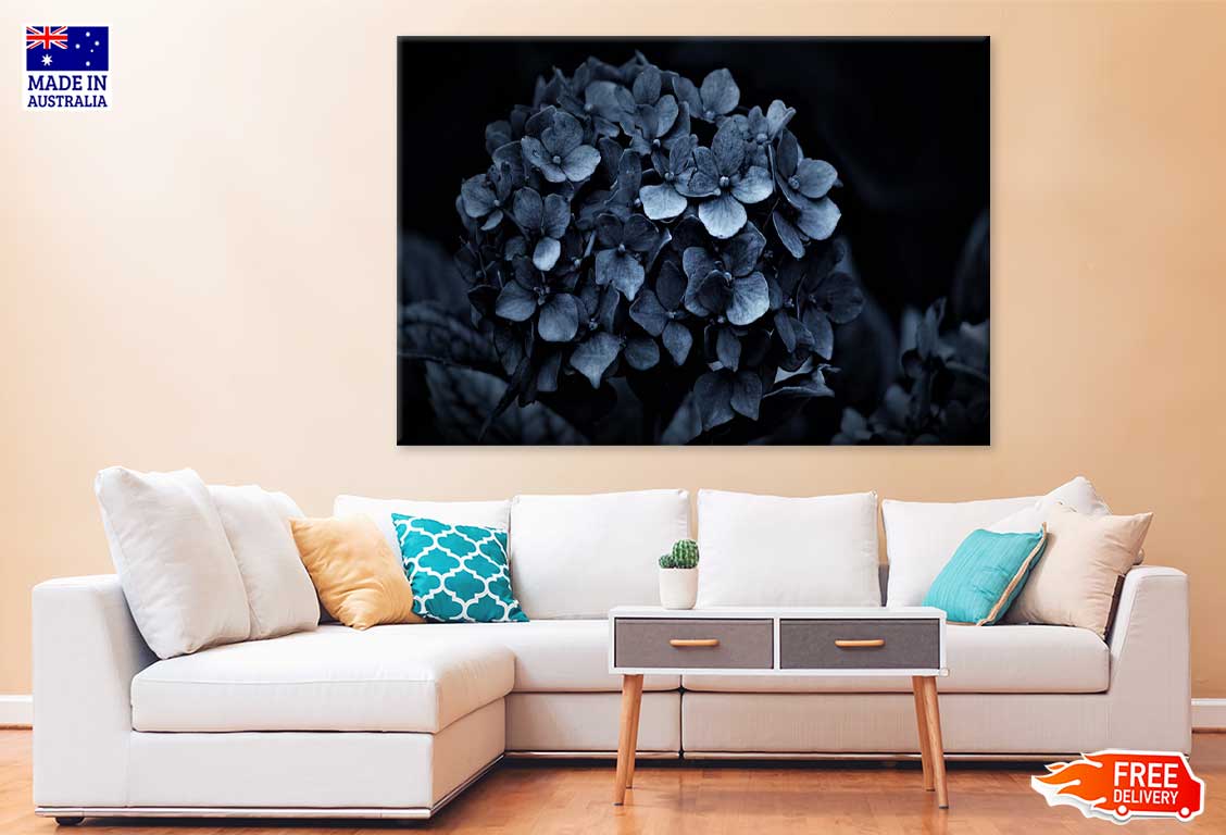 Hydrangea Flowers on Dark View Photograph Print 100% Australian Made
