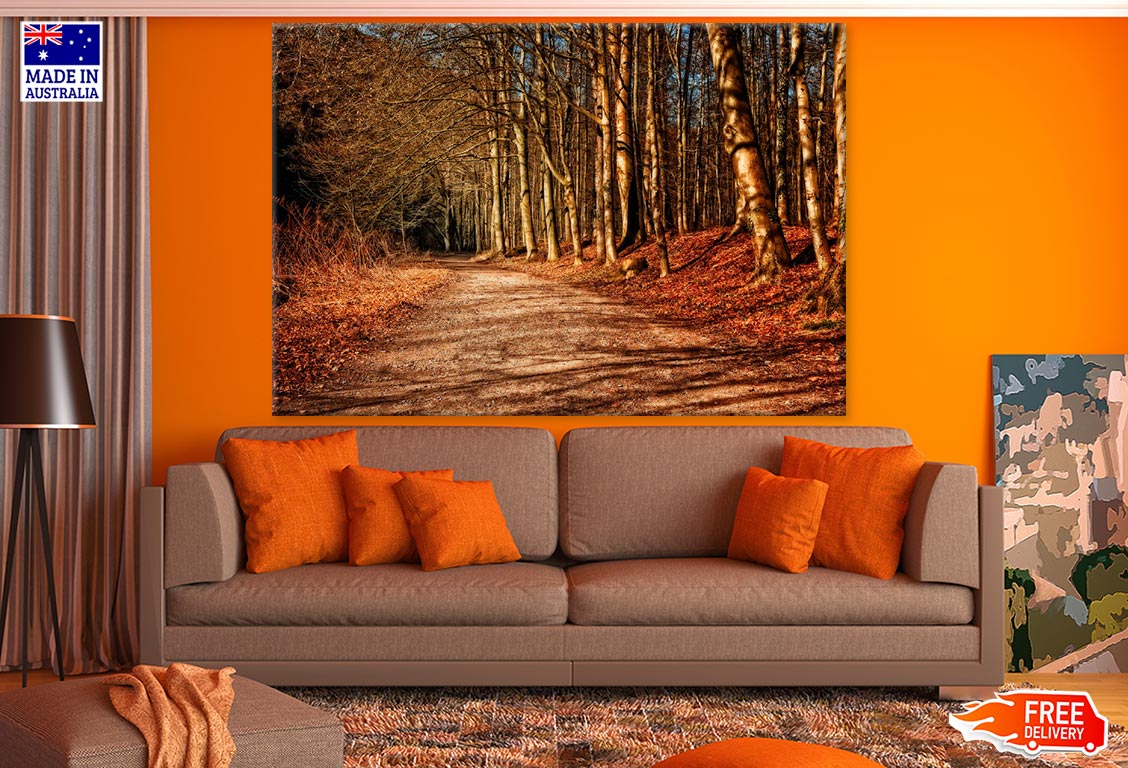 Road in Autumn Forest Photograph Print 100% Australian Made