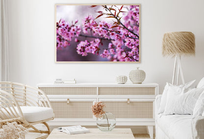 Prunus Tree Pink Flowers Branch Photograph Home Decor Premium Quality Poster Print Choose Your Sizes