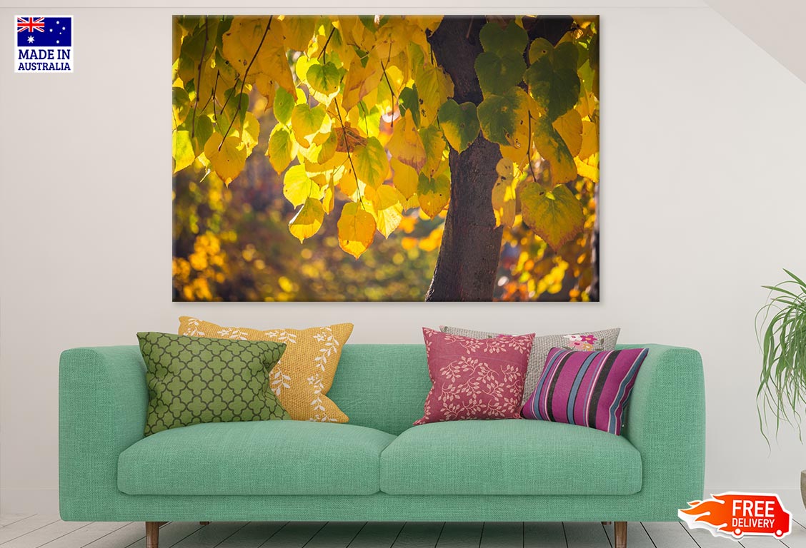 Yellow Leaves Tree Closeup Photograph Print 100% Australian Made