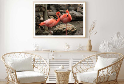 Flamingo Birds View Photograph Home Decor Premium Quality Poster Print Choose Your Sizes