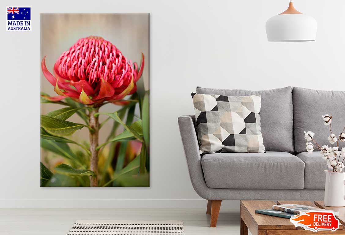 Waratah Flower with Plant View Photograph Print 100% Australian Made