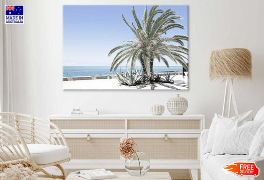 Palm Tree Near Sea Scenery View Print 100% Australian Made