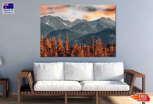 Autumn Trees near Mountains View Photograph Print 100% Australian Made