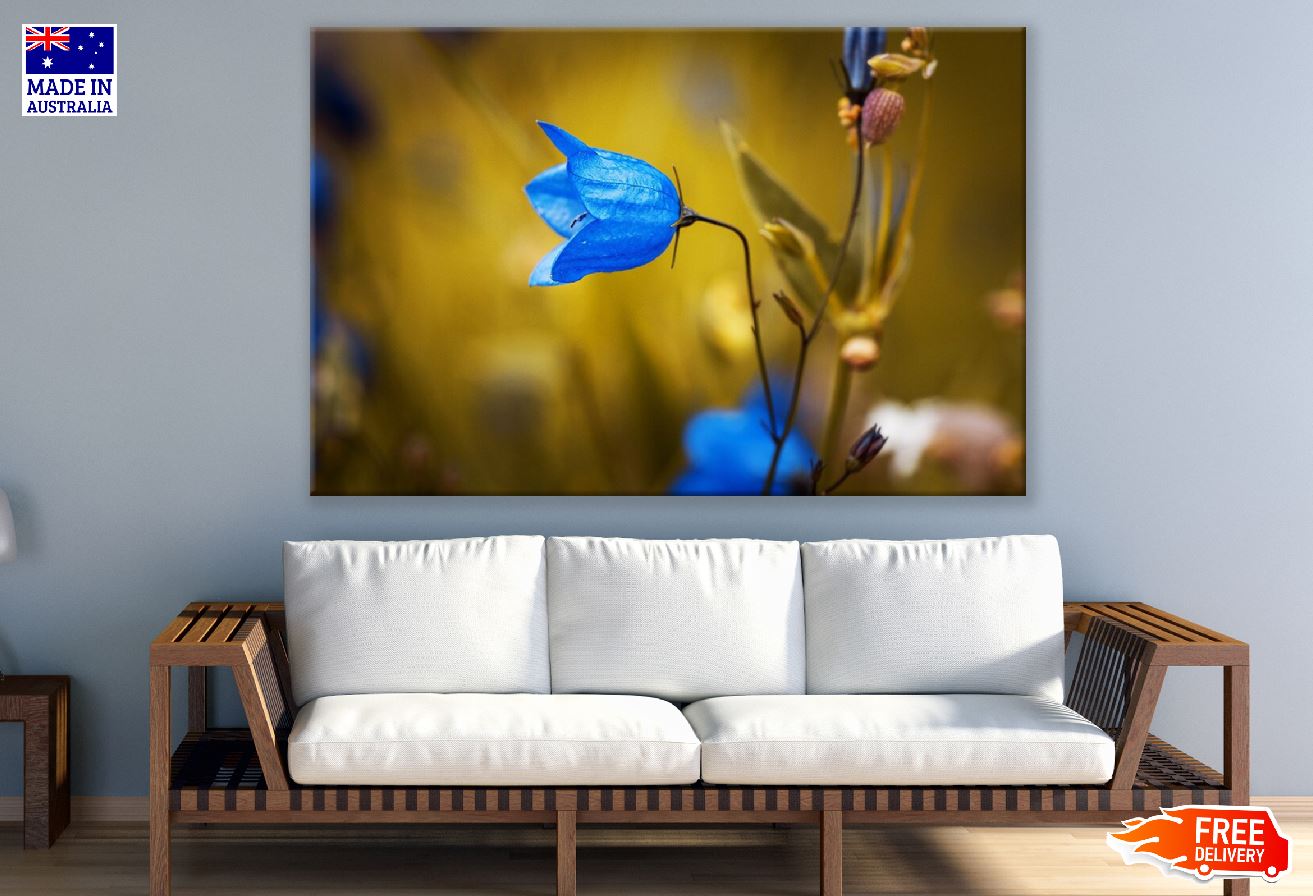 Blue Campanula Flower Photograph Print 100% Australian Made