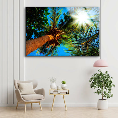 Plam Trees Photograph Acrylic Glass Print Tempered Glass Wall Art 100% Made in Australia Ready to Hang