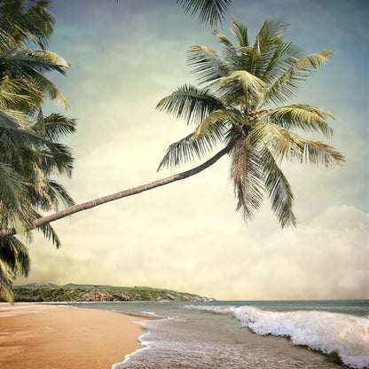 Square Canvas Palm Tree & Sea Vintage View Photograph High Quality Print 100% Australian Made