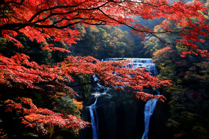 Autumn Levaes Branch & Waterfall Scenery Print 100% Australian Made