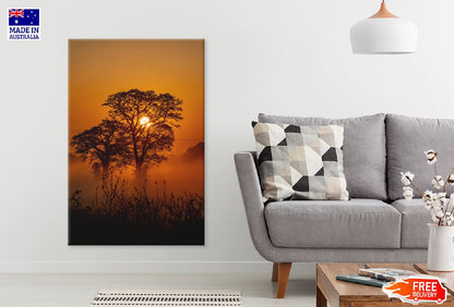 Trees on Dark Sunset Scenery Photograph Print 100% Australian Made