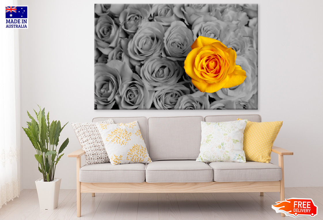 Yellow & B&W Rose Flower Photograph Print 100% Australian Made