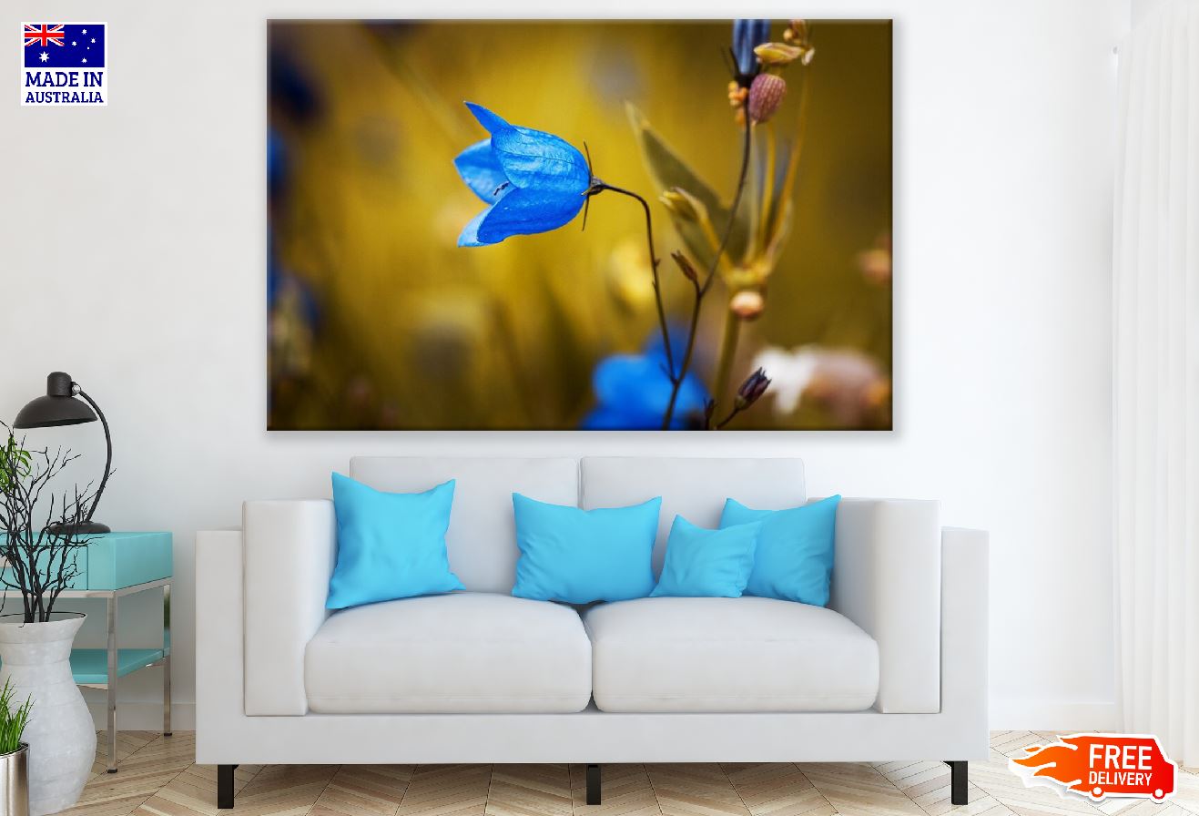 Blue Campanula Flower Photograph Print 100% Australian Made