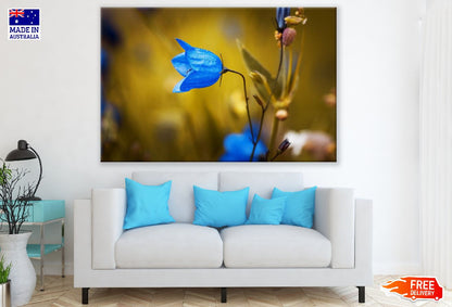 Blue Campanula Flower Photograph Print 100% Australian Made