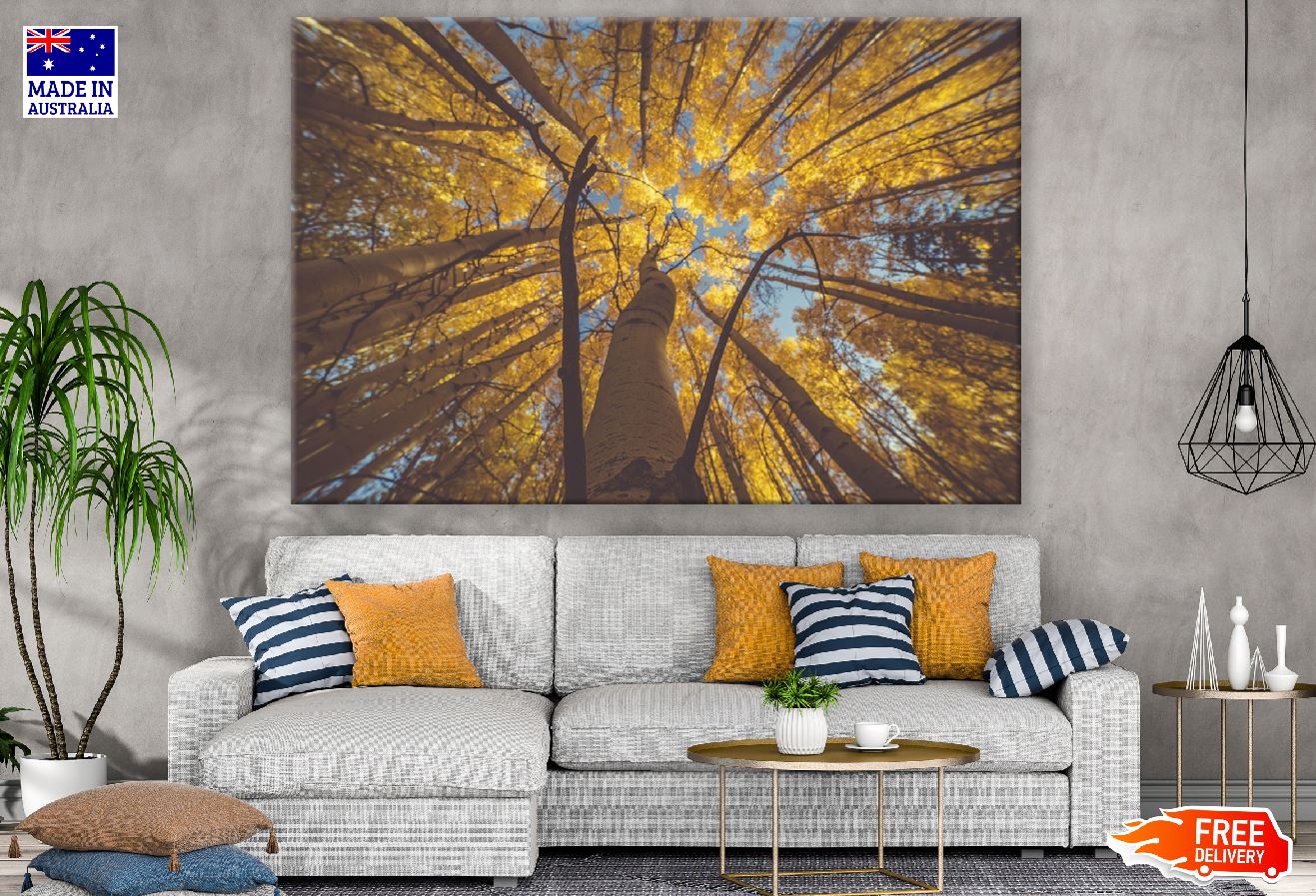 Autumn Large Tree Under View Photograph Print 100% Australian Made