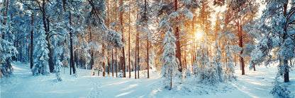 Panoramic Canvas Snow Covered Trees View Photograph High Quality 100% Australian Made Wall Canvas Print Ready to Hang