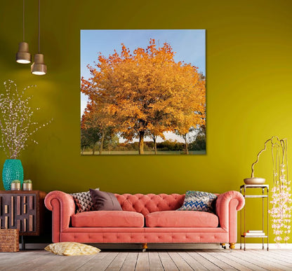 Square Canvas Red & Orange Autumn Tree View Photograph High Quality Print 100% Australian Made