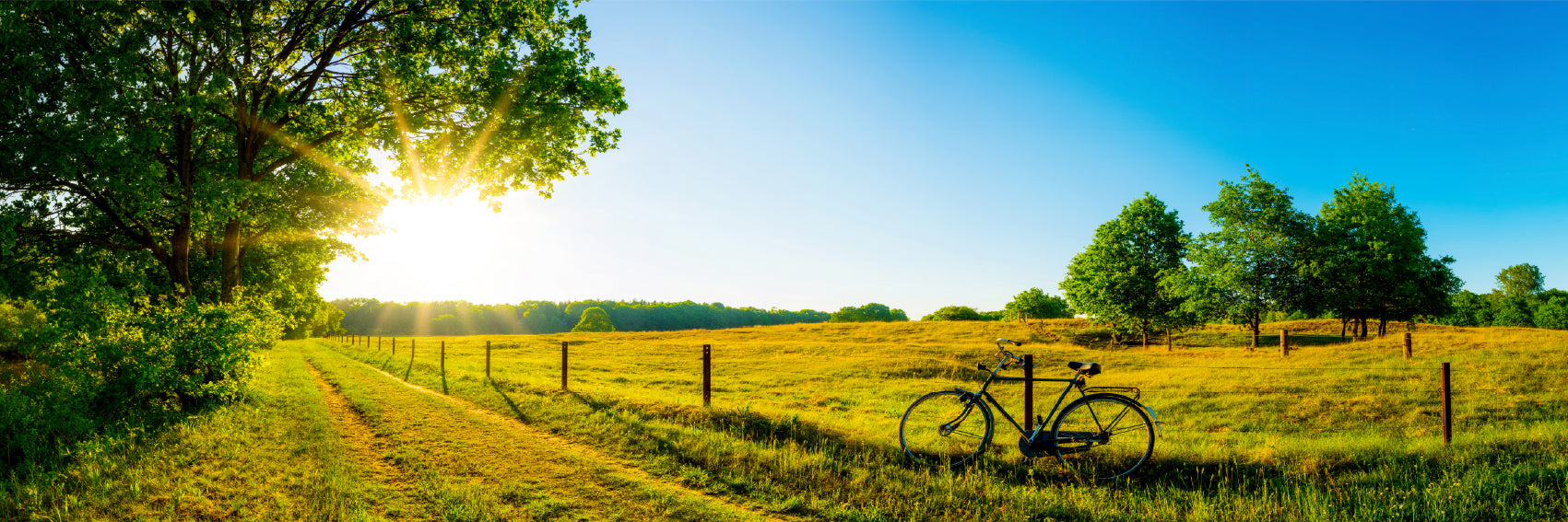 Panoramic Canvas Meadows in Sunshine Scenery Photograph High Quality 100% Australian Made Wall Canvas Print Ready to Hang