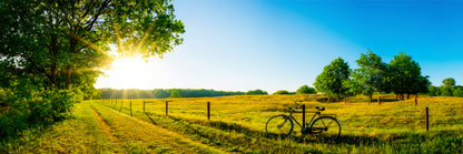Panoramic Canvas Meadows in Sunshine Scenery Photograph High Quality 100% Australian Made Wall Canvas Print Ready to Hang