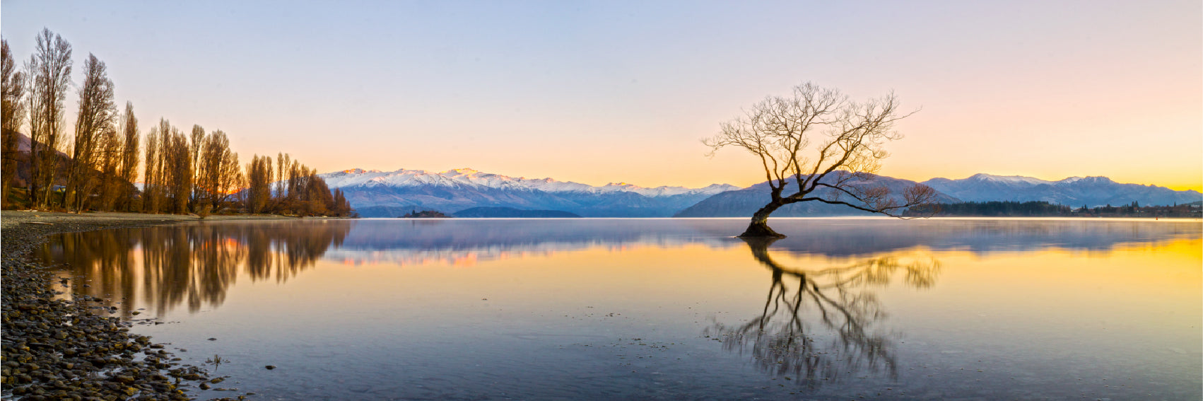 Panoramic Canvas Wanaka Tree on Lake Scenery Photograph High Quality 100% Australian Made Wall Canvas Print Ready to Hang