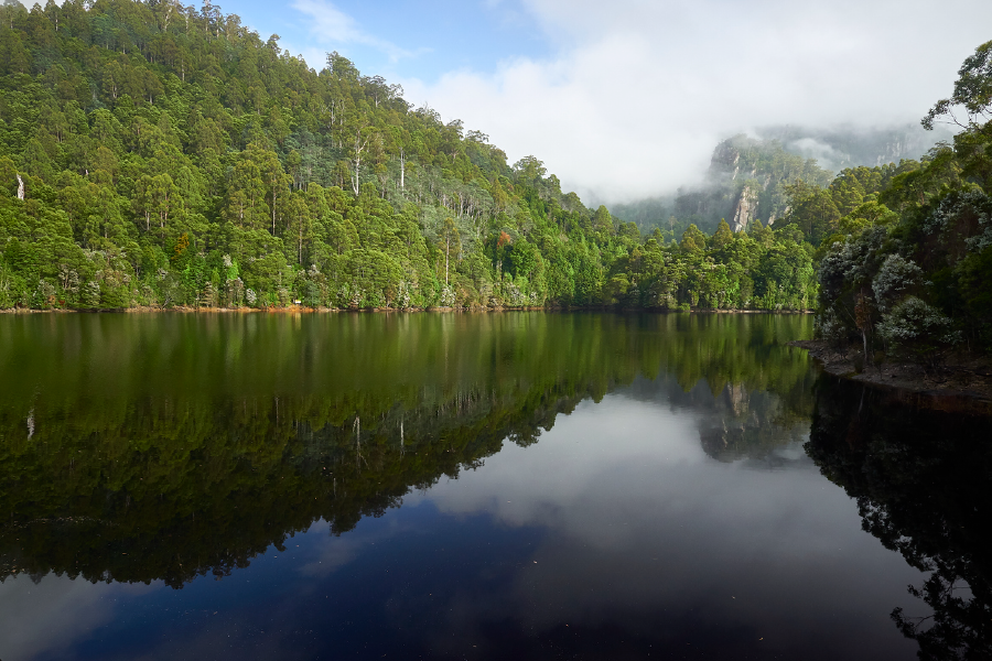 Nature Trees & River View Photograph Print 100% Australian Made