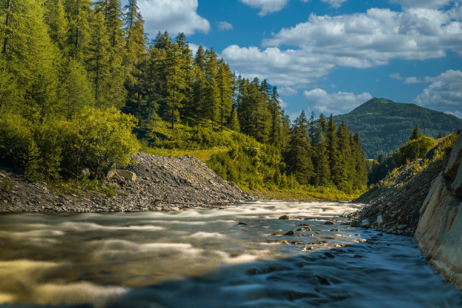 Tranquil River Covered with Trees Photograph Print 100% Australian Made