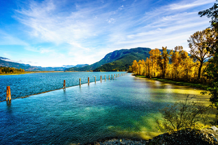 Autumn Trees near Lake & Blue Sky View Photograph Print 100% Australian Made