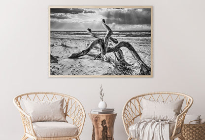 Tree Root on Baltic Sea B&W View Home Decor Premium Quality Poster Print Choose Your Sizes